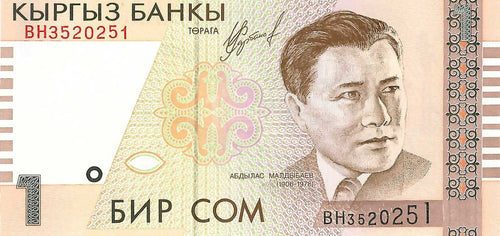 Kyrgyzstan / P-15 / 1 Som / 1999