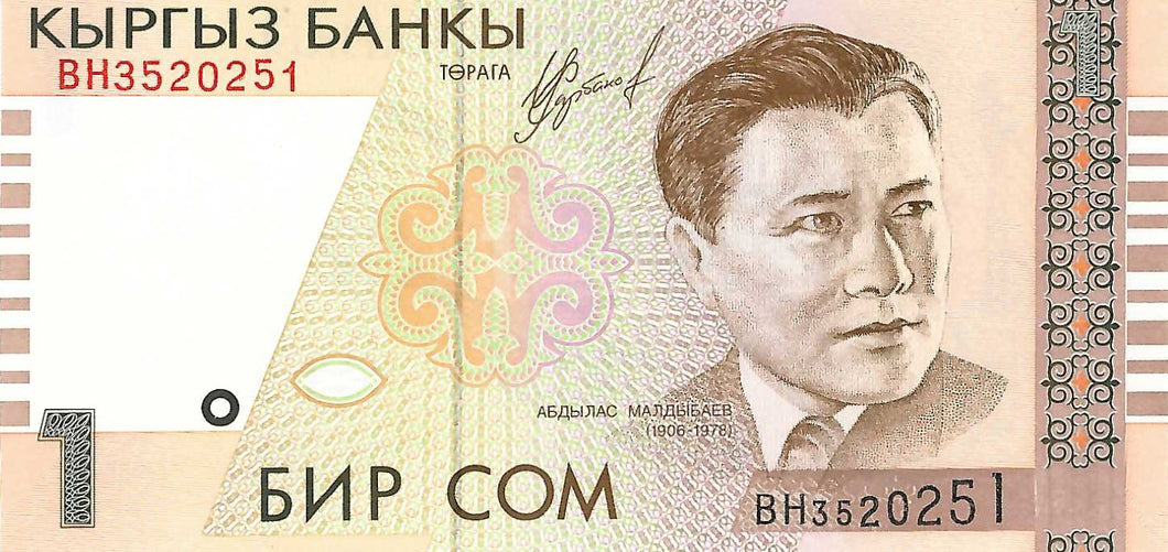 Kyrgyzstan / P-15 / 1 Som / 1999