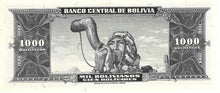 Bolivia / P-149  / 1000 Bolivianos / L 1945