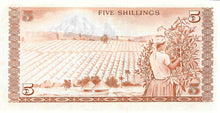 Kenya / P-15 / 5 Shillings / 01.07.1978