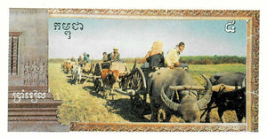 Cambodia / P-R1 / 5 Riels / ND (1993-99) Reprint