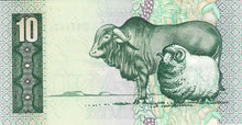 South Africa / P-120c / 10 Rand / ND (1982-85)