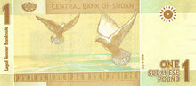 Sudan / P-64a / 1 Pound / 09.07.2006