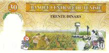 Tunisia / P-89 / 30 Dinars / 07.11.1997