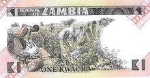 Zambia / P-23a / 1 Kwacha / ND (1980-88)