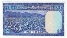 Rhodesia / P-38a / 1 Dollar / 02.08.1979