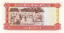 Gambia / P-12b / 5 Dalasis / ND (1991-95)