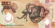 Papua New Guinea / P-31a / 20 Kina / (20)07 / POLYMER-PLASTIC