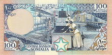 Somalia / P-35d / 100 Shilin = 100 Shillings  / 1989