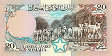 Somalia / P-33d / 20 Shilin = 20 Shillings / 1989