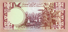 Somalia / P-21a  / 5 Shilin  = 5 Shillings / 1978
