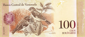Venezuela / P-093b / 100 Bolivares / 19.12.2008