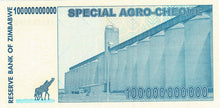 Zimbabwe / P-64a / 100 Billion Dollars / 01.07.2008