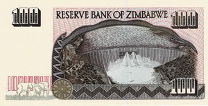 Zimbabwe / P-09a / 100 Dollars / 1995